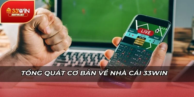 Tổng quát cơ bản về nhà cái 33WIN