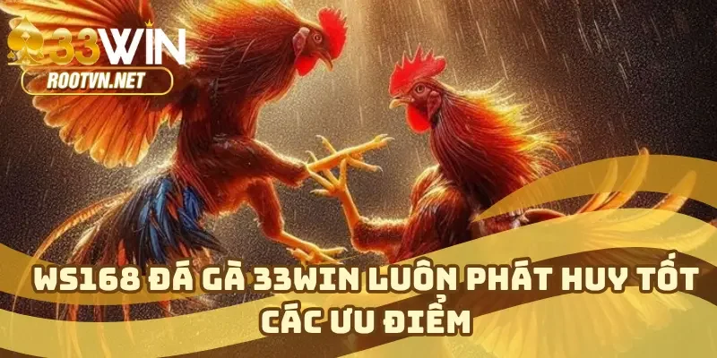 WS168 đá gà 33WIN luôn phát huy tốt các ưu điểm
